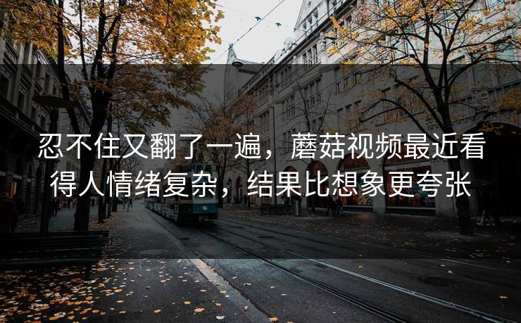 忍不住又翻了一遍，蘑菇视频最近看得人情绪复杂，结果比想象更夸张